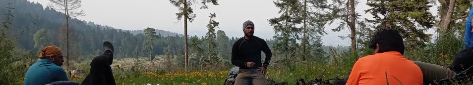 reunión de equipo en un bosque de pinos 